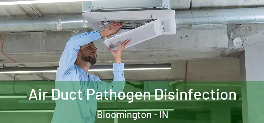 Air Duct Pathogen Disinfection Bloomington - IN