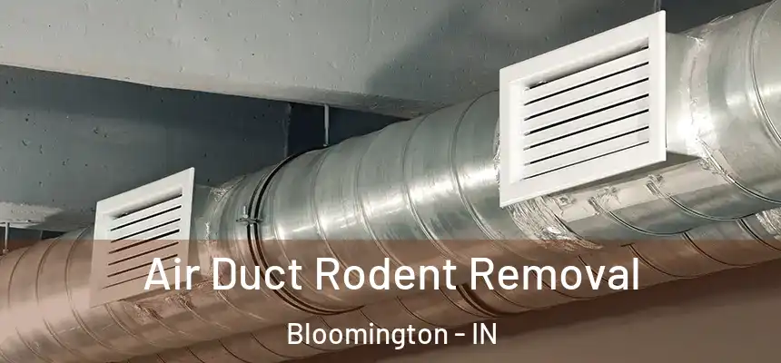 Air Duct Rodent Removal Bloomington - IN