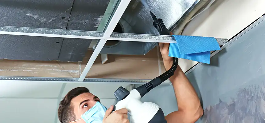 Our Air Duct Rodent Removal Services in Bloomington, IN