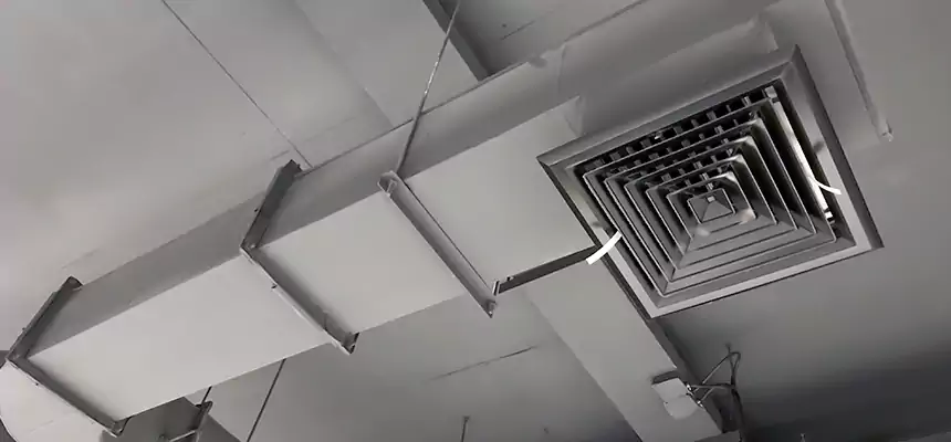 Our Pest Removal From Ducts Services in Bloomington, IN