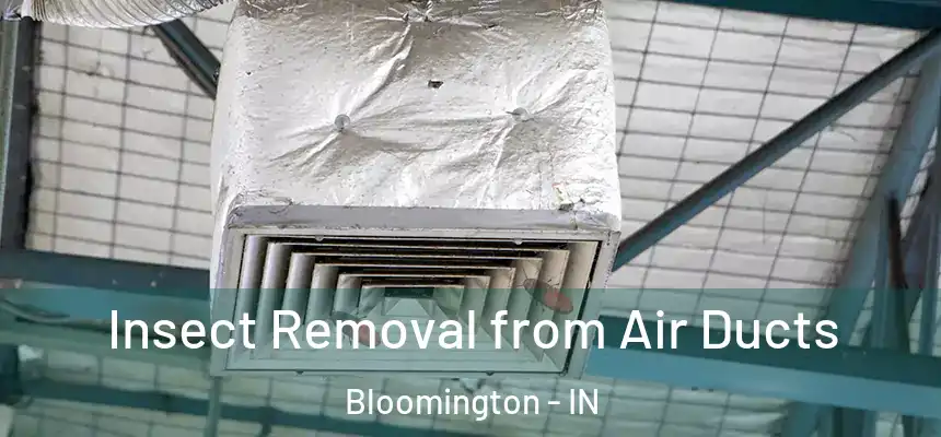 Insect Removal from Air Ducts Bloomington - IN