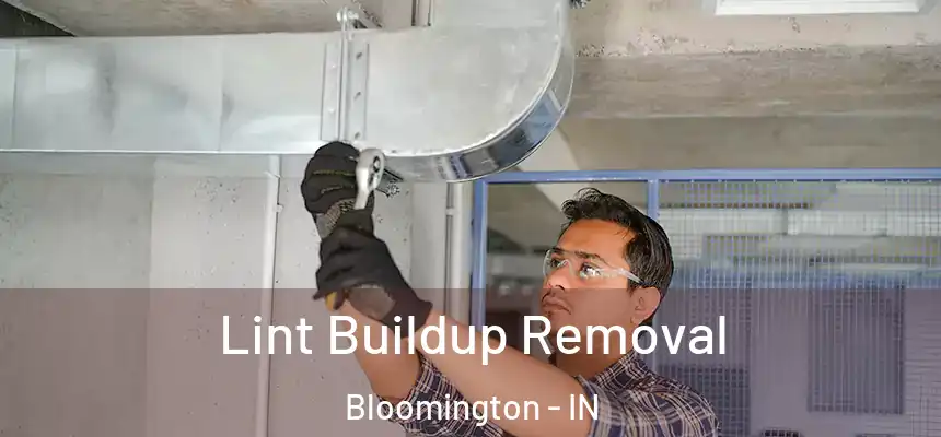 Lint Buildup Removal Bloomington - IN