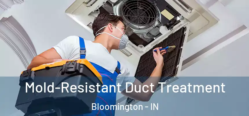 Mold-Resistant Duct Treatment Bloomington - IN