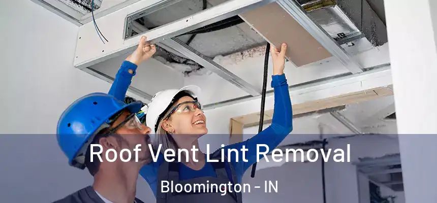 Roof Vent Lint Removal Bloomington - IN