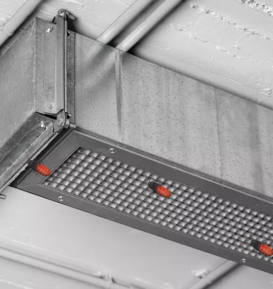 About Air Duct Cockroach Removal in Bloomington, IN