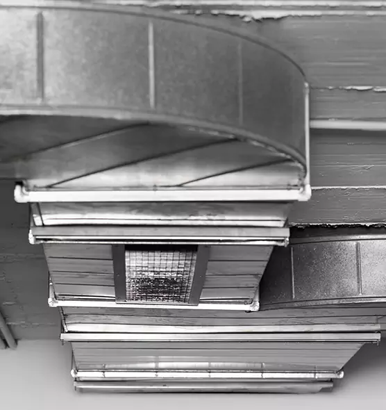 Professional Air Duct Pest Removal in Bloomington, IN