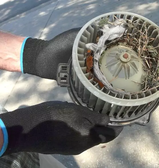 About Air Duct Rat Removal in Bloomington, IN